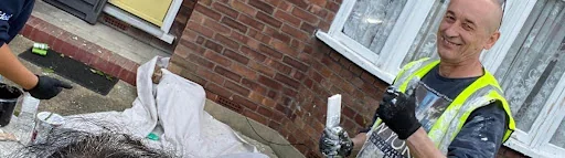 Alidea Painting & Decor