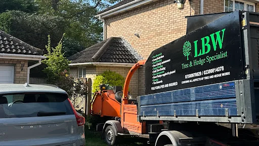 LBW Tree & Hedge Specialist