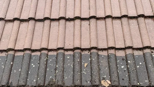 Street Clean Limited