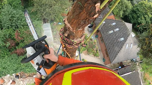 Weaver Tree Care Ltd