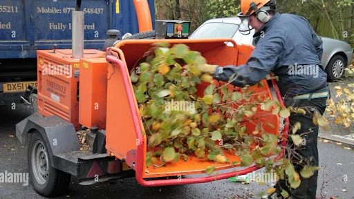 A1 Tree and Garden Services