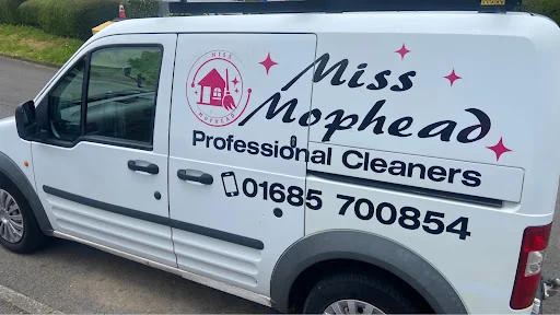 Miss Mophead