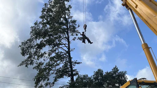 Hartlebury Hardwoods Ltd