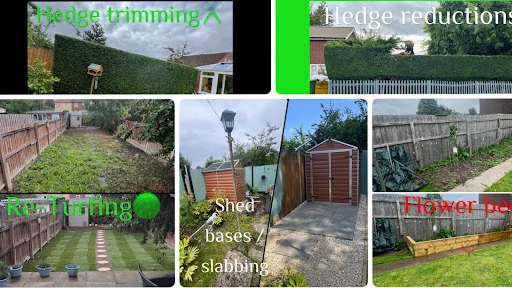 Evergreen Garden & Tree Services