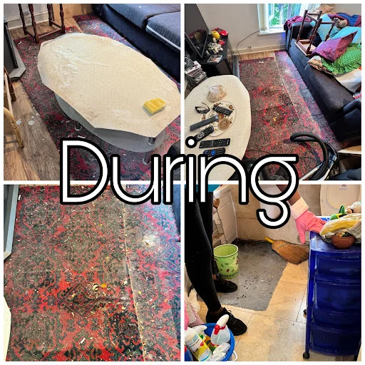 DINAST CLEANING SERVICES LIMITED