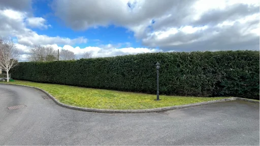 BLS Ground & Garden Maintenance