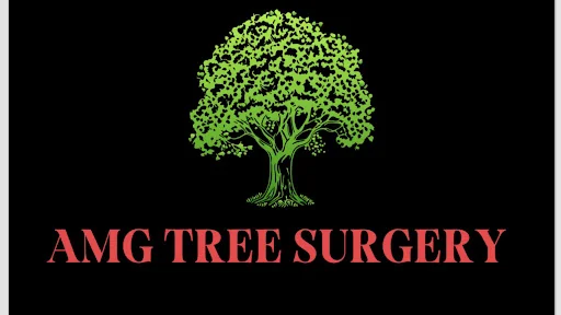 AMG Tree Surgery