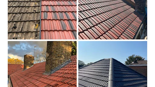 Terse Build Ltd