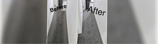 Unique carpet clean