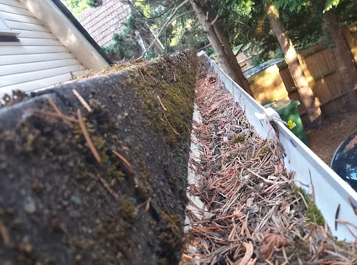 CJH property management