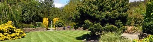 Border Tree and Garden Services