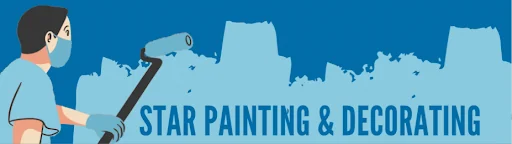 Star Painting & Decorating North East