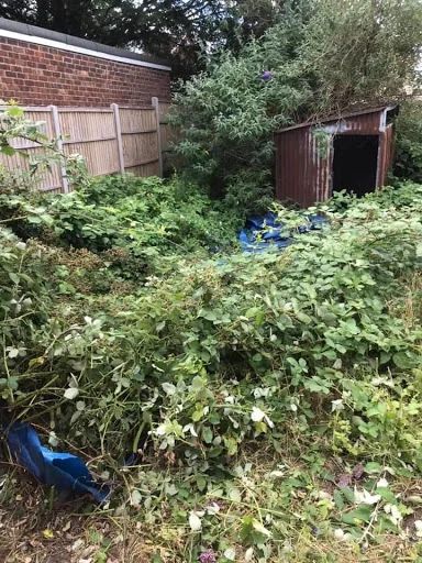 General Garden Services photo 4