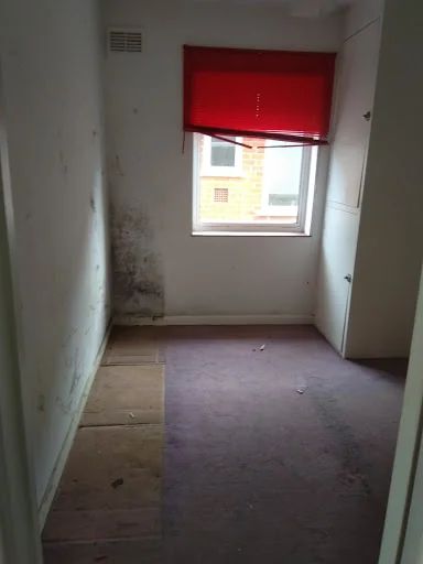 Saunders and Son Waste Clearance photo 7
