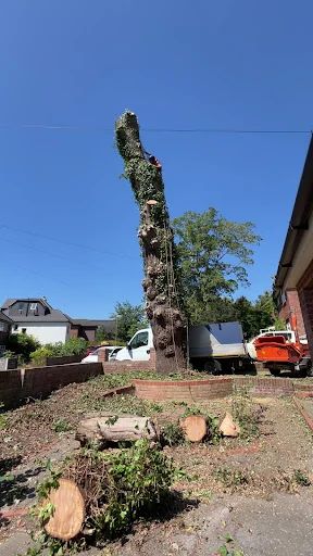 All seasons gardening and landscaping photo 6