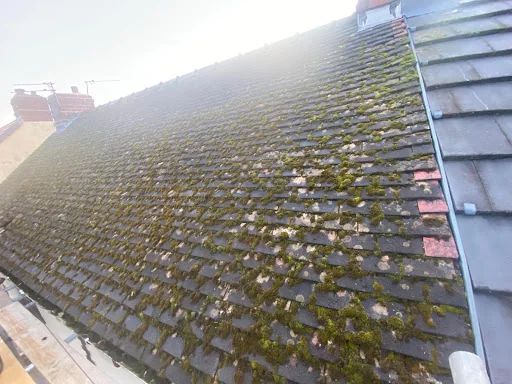 Roofcraft Roofing Services Limited photo 8