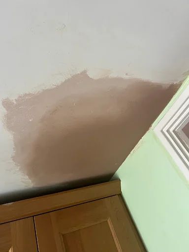 DB Property Maintenance photo 4