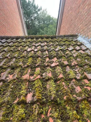 DB Property Maintenance photo 7