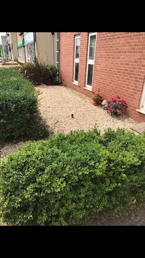D.S Landscaping photo 1