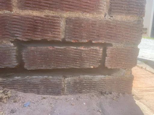 King Cavity Wall Extraction photo 1
