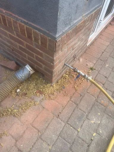 King Cavity Wall Extraction photo 3