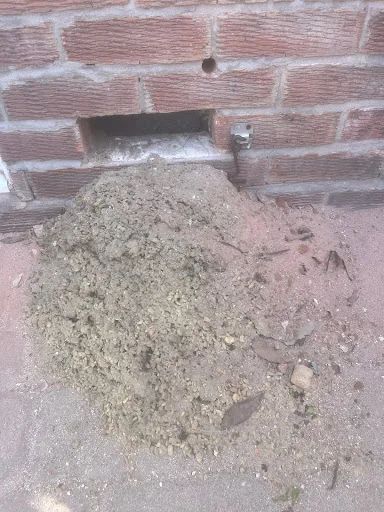 King Cavity Wall Extraction photo 4