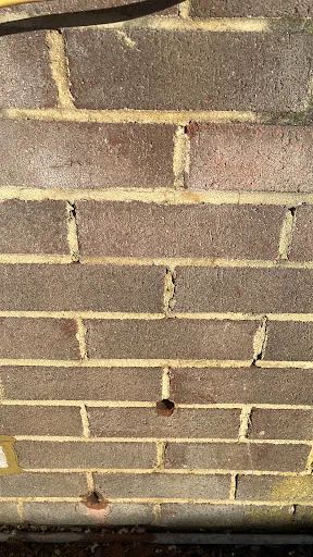 King Cavity Wall Extraction photo 8
