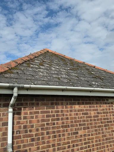 Mp exterior cleaning services photo 4